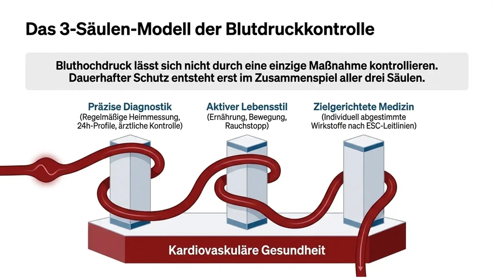 Slide13 new Kardiologie Check – Herzgesundheit & Vorsorge
