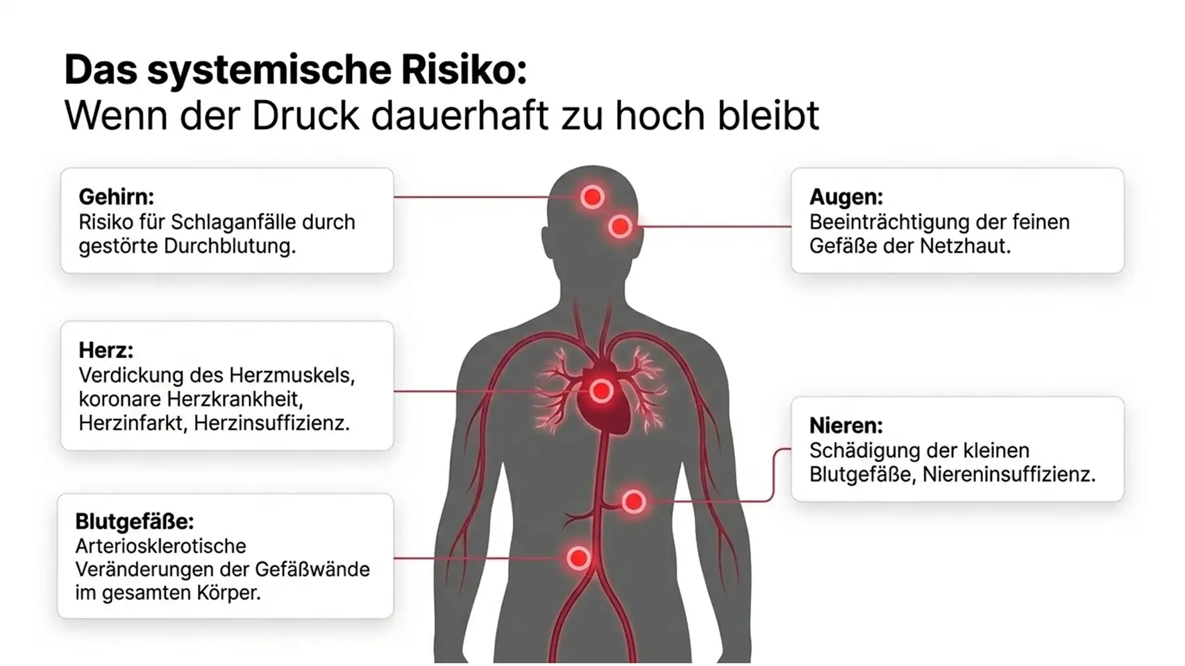 Slide7 new Kardiologie Check – Herzgesundheit & Vorsorge