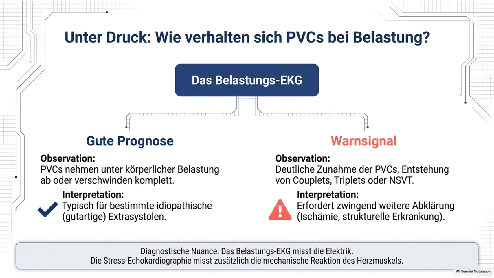 10 Kardiologie Check – Herzgesundheit & Vorsorge