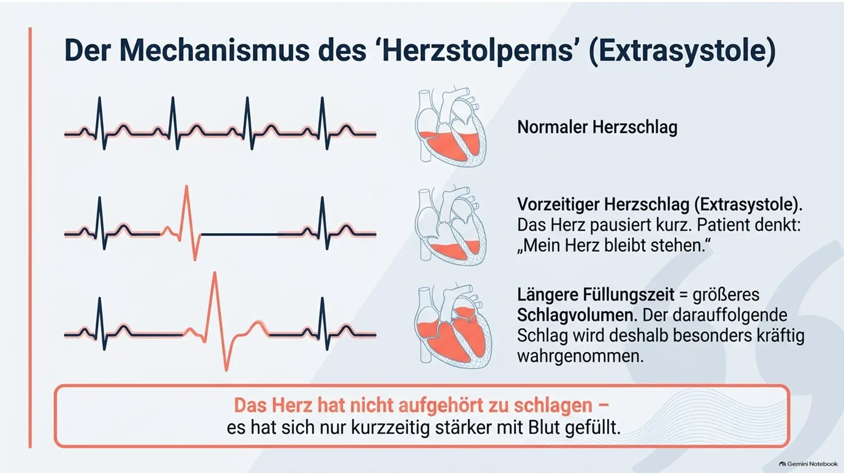 3 Kardiologie Check – Herzgesundheit & Vorsorge