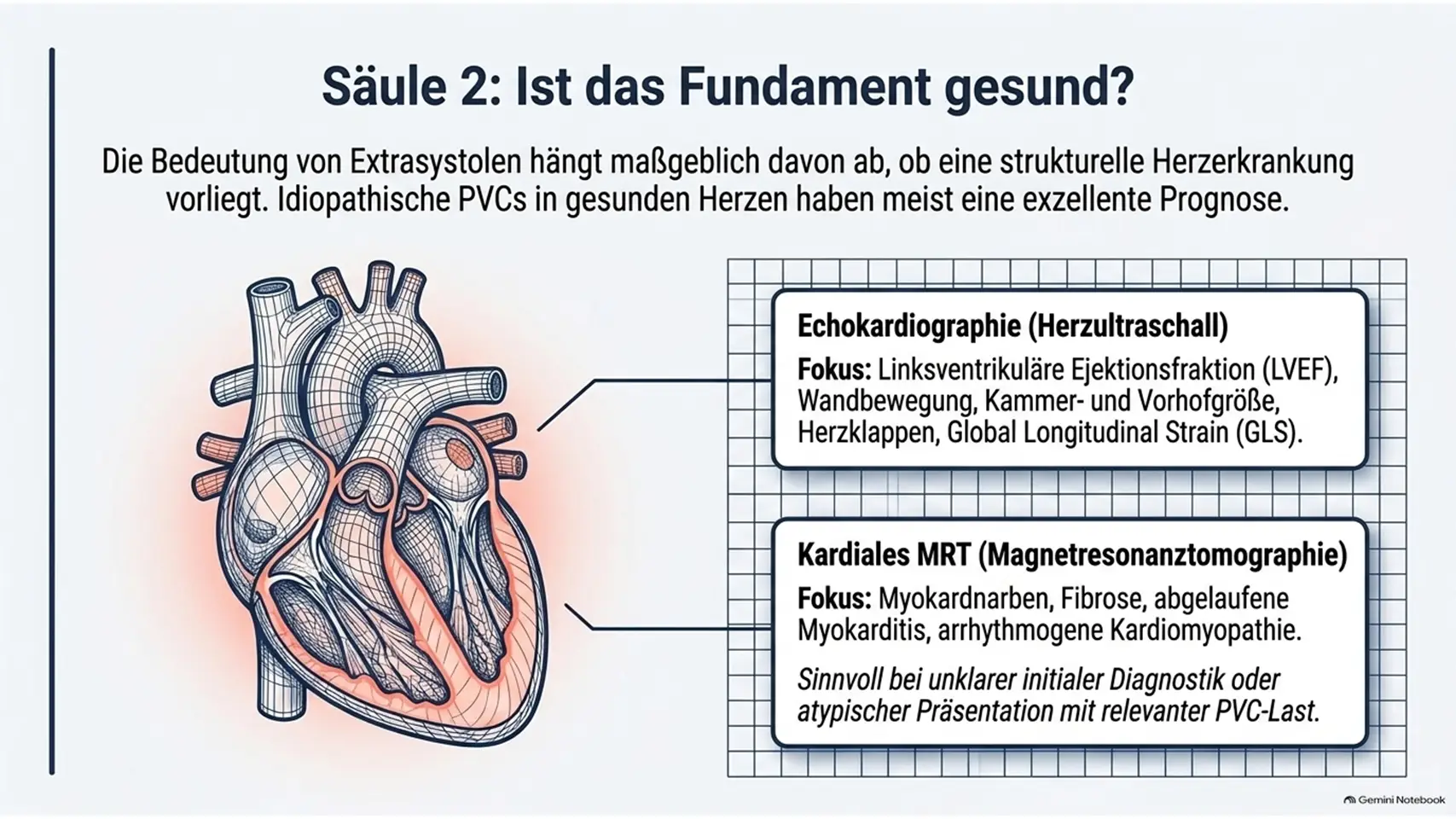 7 Kardiologie Check – Herzgesundheit & Vorsorge