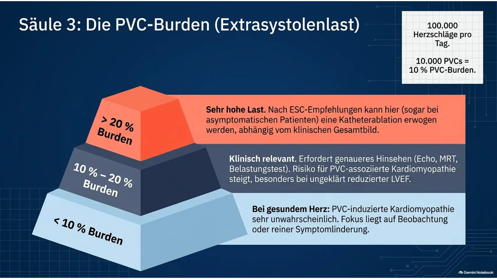 8 Kardiologie Check – Herzgesundheit & Vorsorge