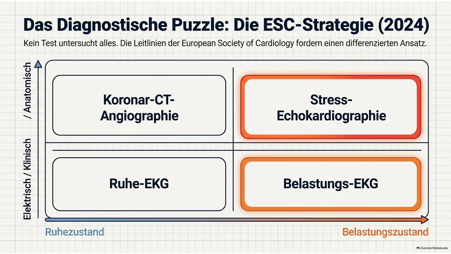 Belastungs-EKG & Stress-Echokardiographie: Ablauf und Aussagekraft 14 Slide13 new 2 Kardiologie Check – Herzgesundheit & Vorsorge