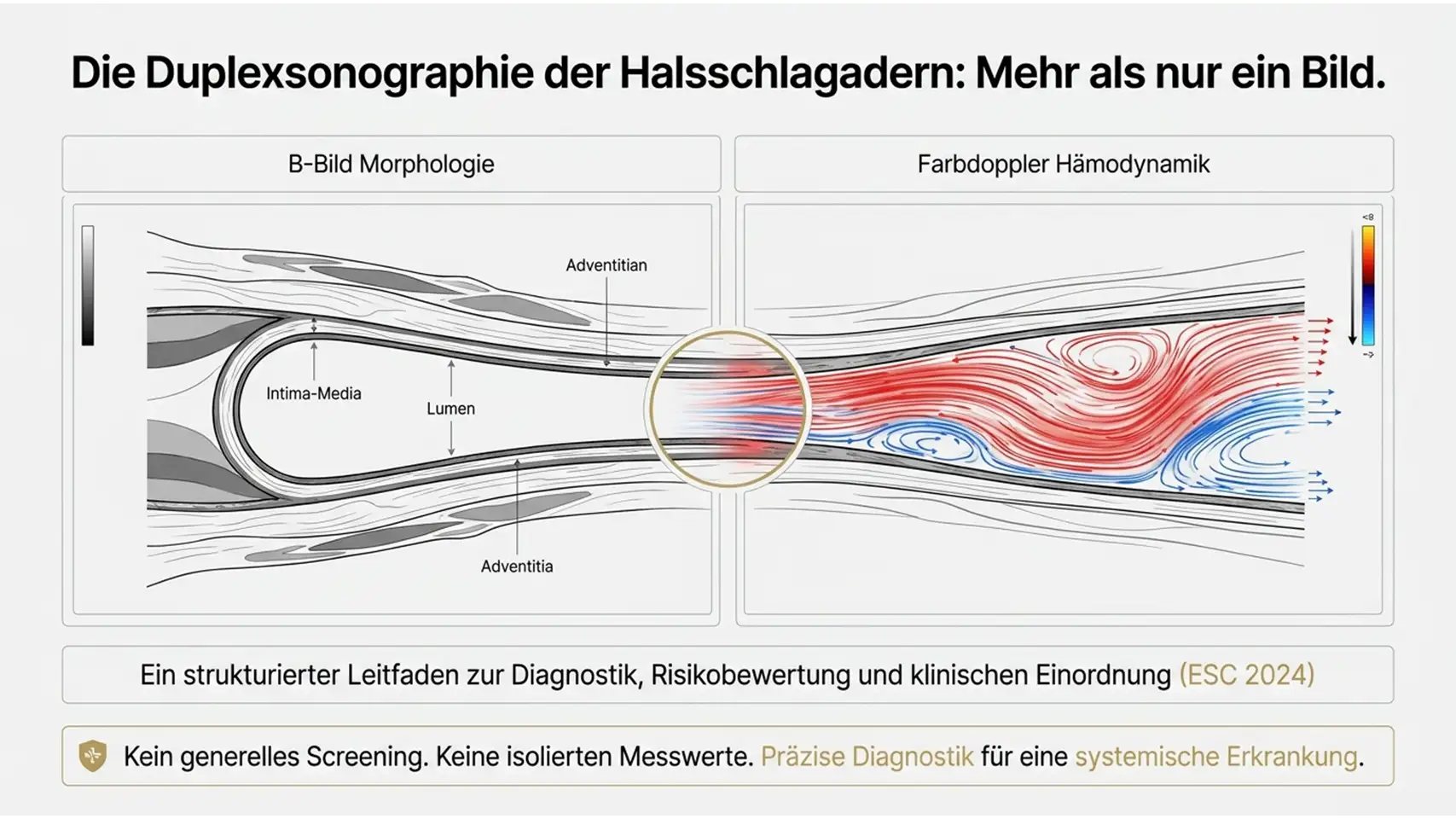 Slide1 new 2 Kardiologie Check – Herzgesundheit & Vorsorge