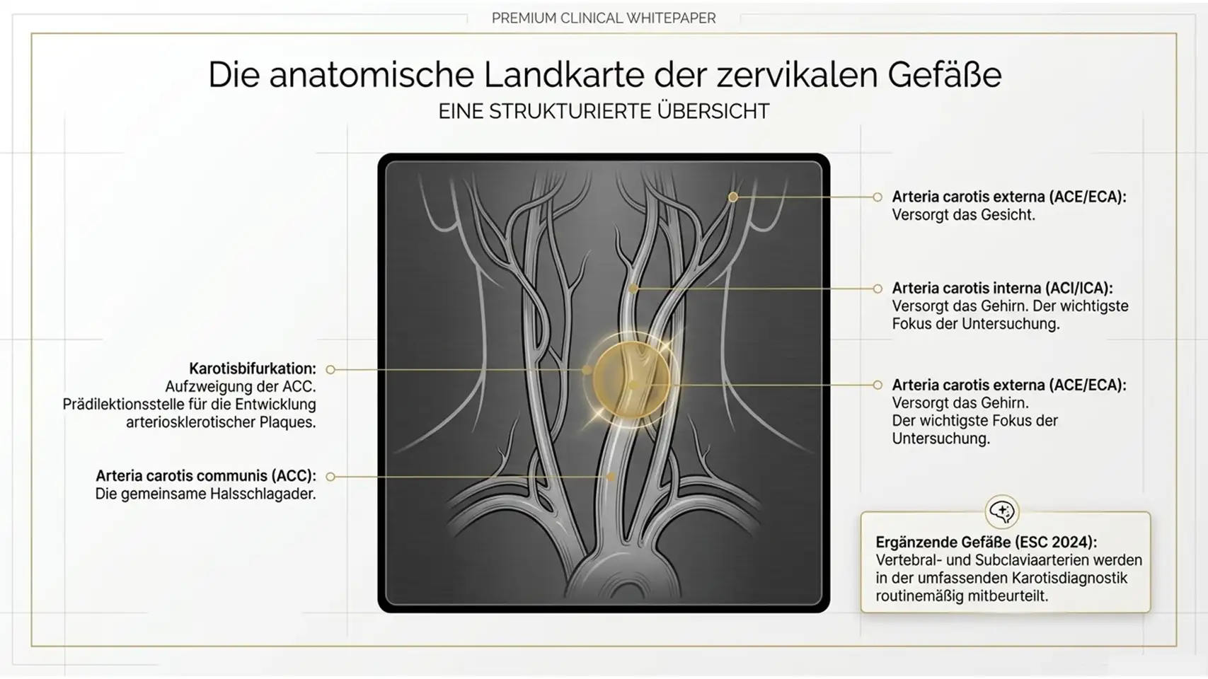 Slide4 new 2 Kardiologie Check – Herzgesundheit & Vorsorge