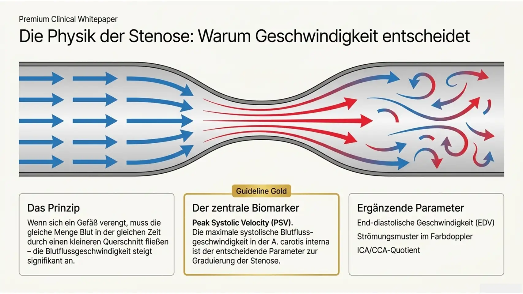 Slide6 new 2 Kardiologie Check – Herzgesundheit & Vorsorge
