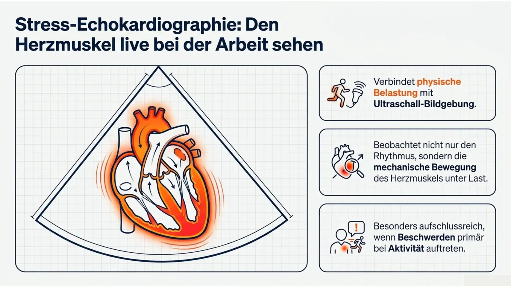 Belastungs-EKG & Stress-Echokardiographie: Ablauf und Aussagekraft 8 Slide7 new 3 Kardiologie Check – Herzgesundheit & Vorsorge